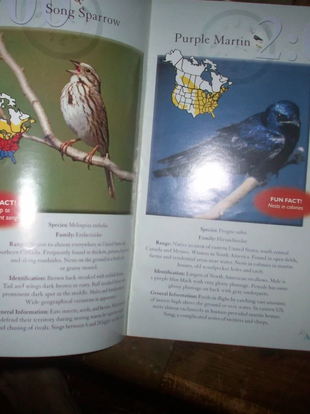 Audubon Society Singing Bird Clock North American, GUIDE Booklet ONLY